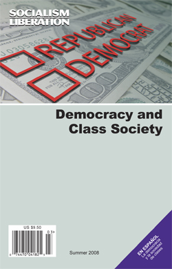 Democracy and Class Society